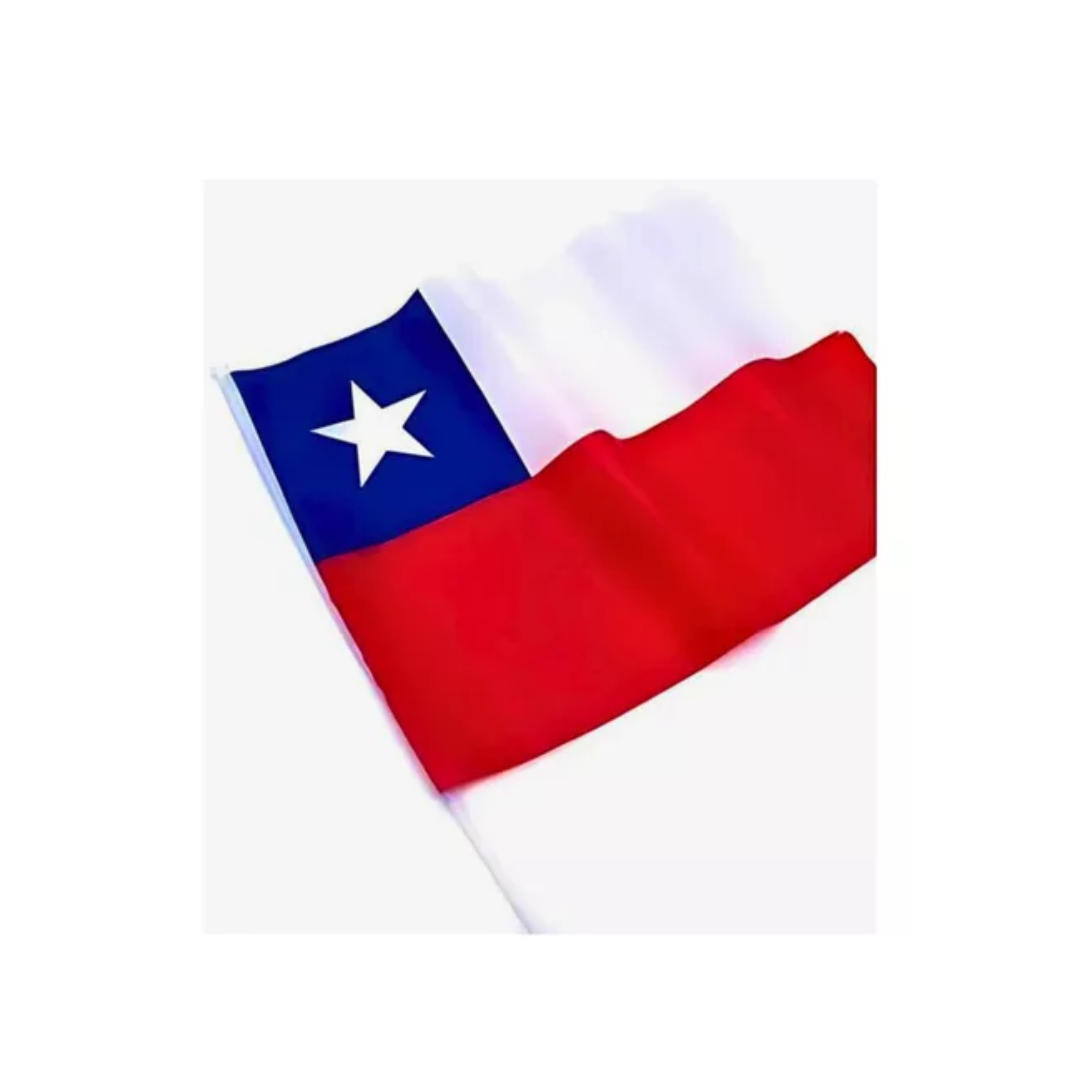 Bandera Chupete De Chile Con Mastil Fiestas Patrias 60x40cm
