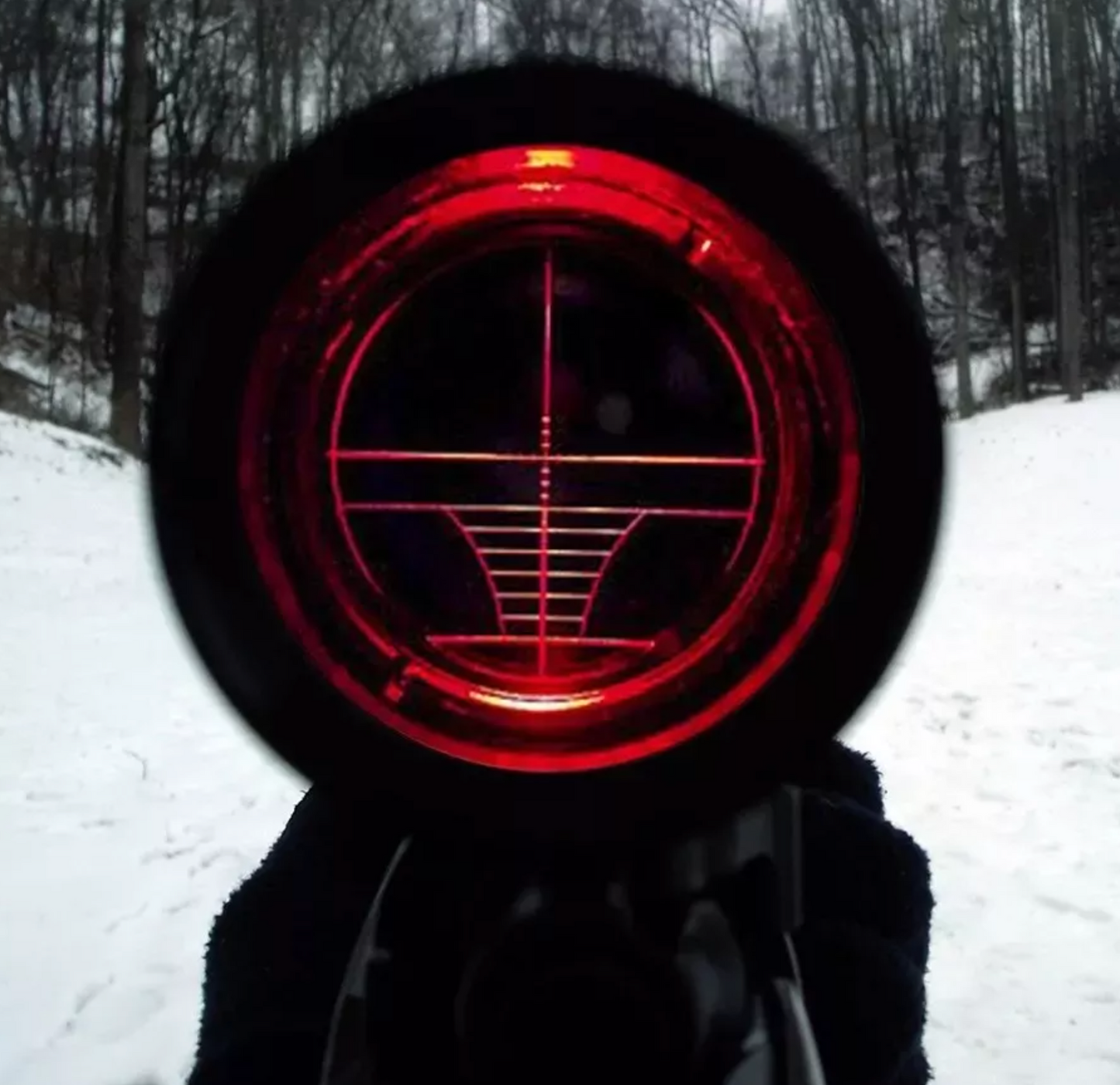 Mira Telescopica Rifles Pcp Caza Iluminada 6-24x50 Riel 11mm
