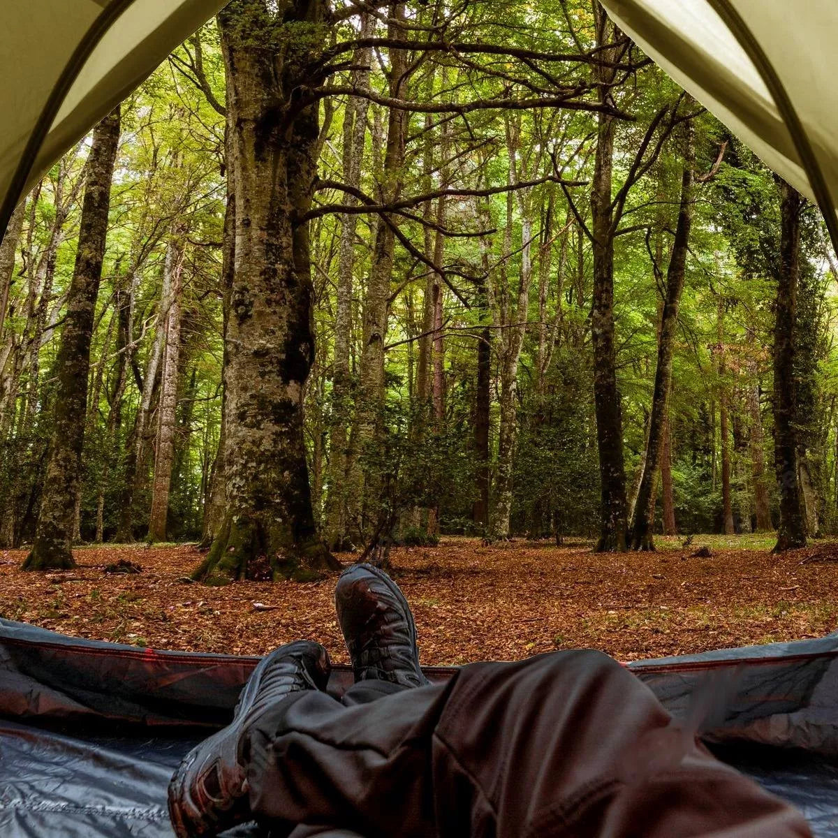 Carpa Camuflaje Para Camping Autoarmable 4 Personas