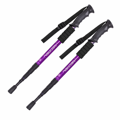 Pack 2 Bastones Trekking Baston Trekking Anti Shock 4tramos