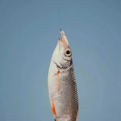 Kit Anzuelo Set Pesca 5 Anzuelos Pesca Anzuelos De Pesca #14